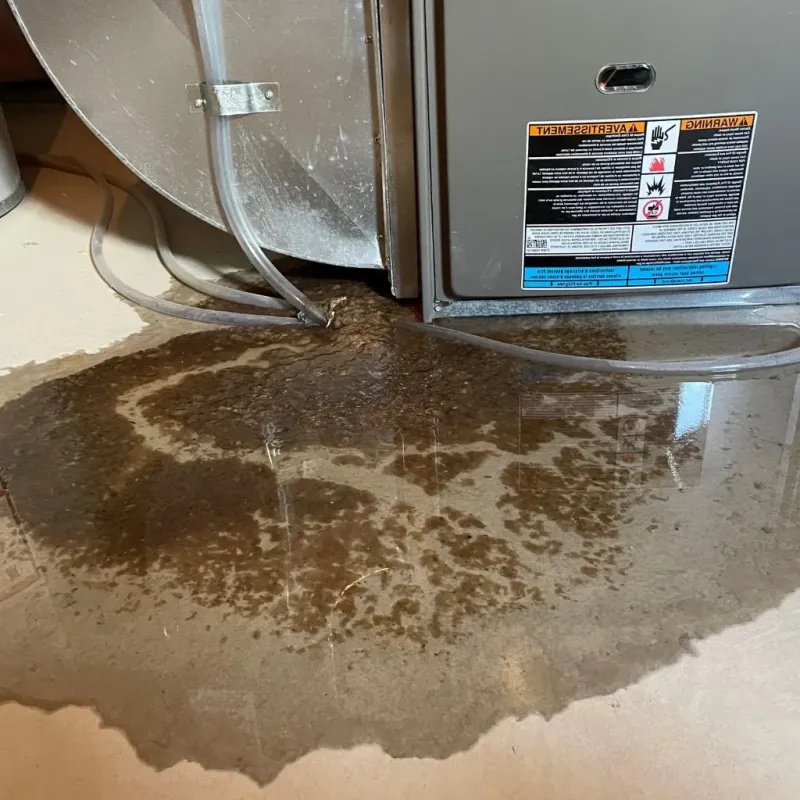 Pipe Burst and Leak Restoration in Thayer County, NE