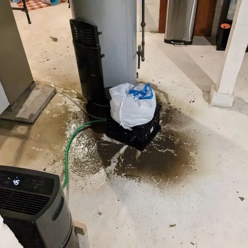 Sewage Backup Cleanup Service in Thayer County, NE